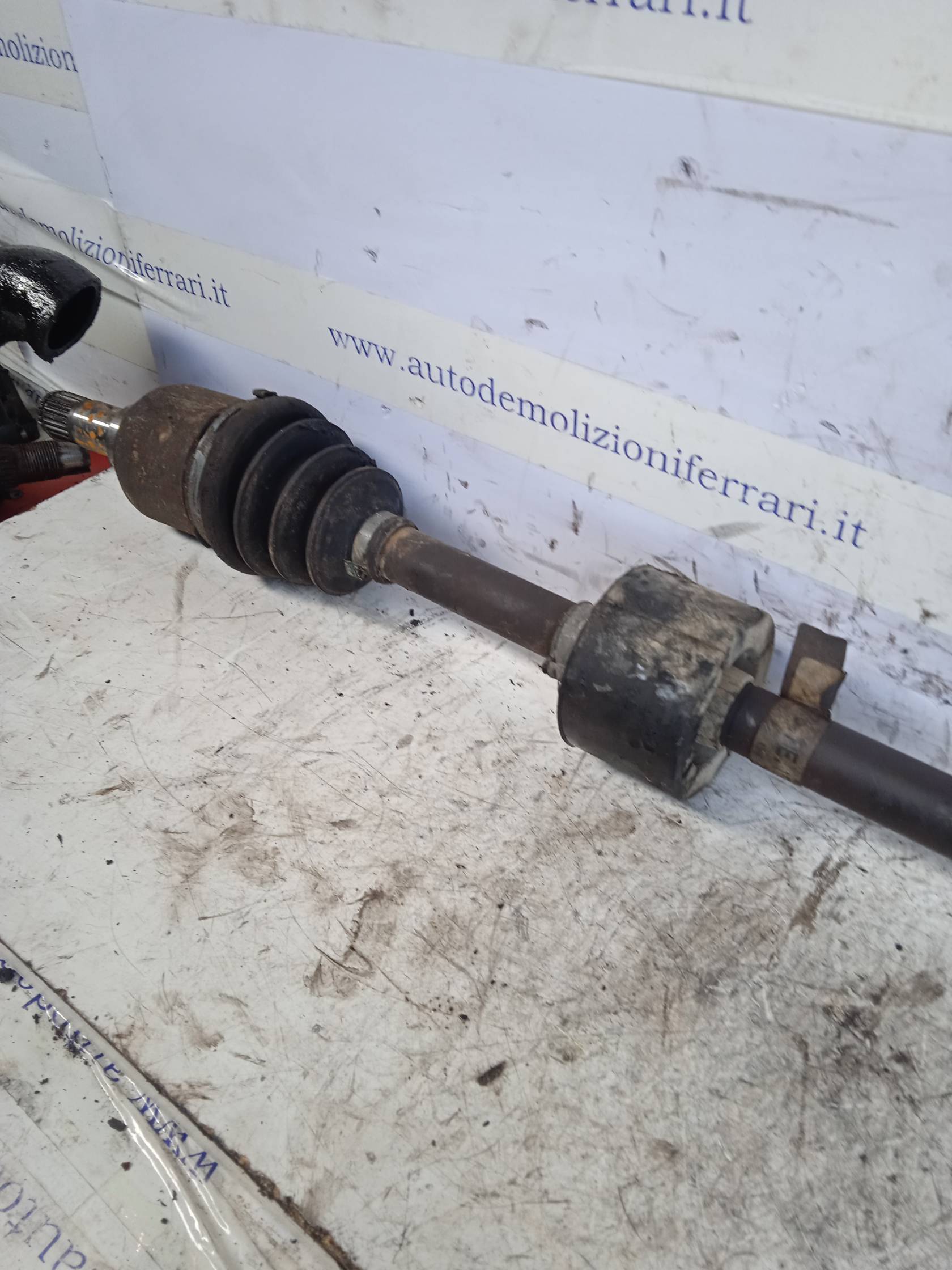 Semialbero ant. compl. dx. Semialbero ant. compl. dx.